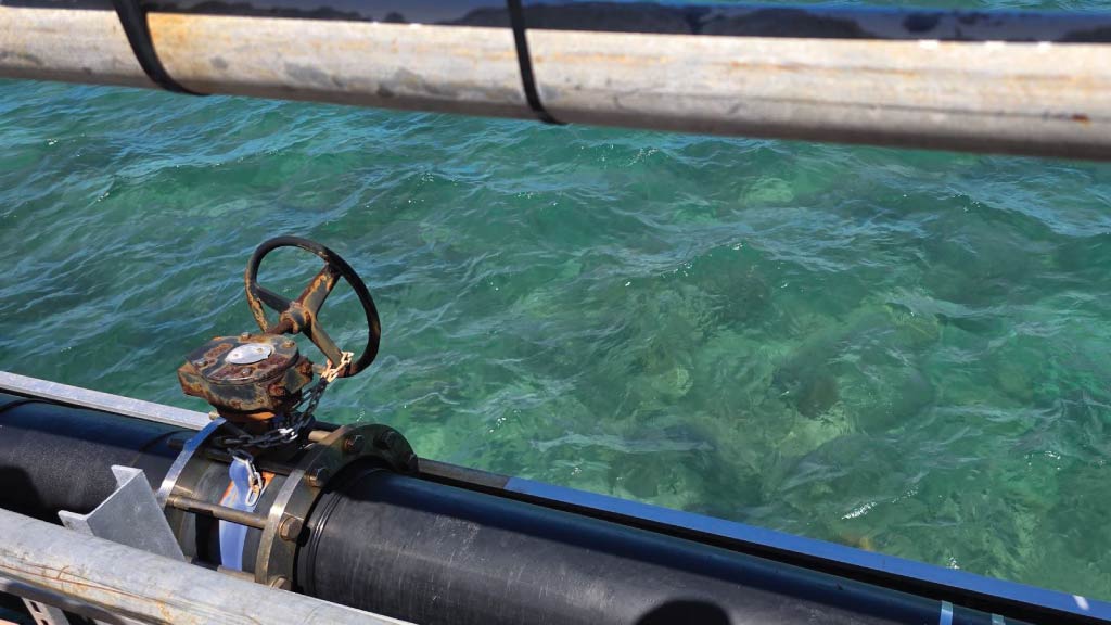 Valve Material Selection - 1 Costly Marine Mistake